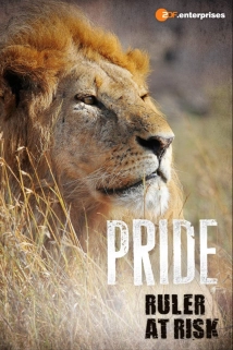 دانلود مستند Pride – Ruler’s at Risk 2016