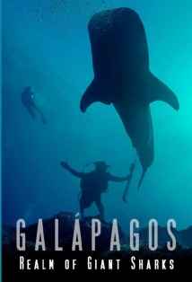 دانلود فیلم Galapagos: Realm of Giant Sharks 2012