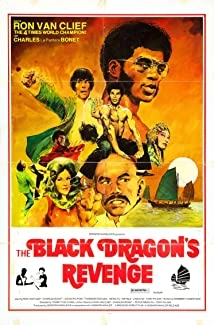 دانلود فیلم The Black Dragon’s Revenge 1975