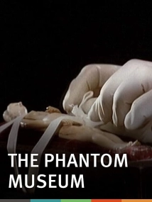دانلود انیمیشن The Phantom Museum: Random Forays Into the Vaults of Sir Henry Wellcome’s Medical Collection 2003