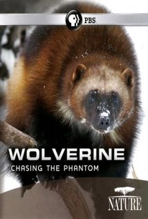 دانلود مستند Wolverine: Chasing the Phantom 2010