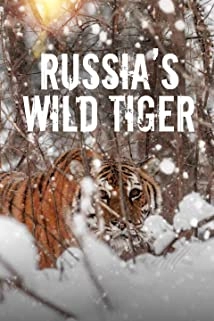 دانلود مستند Big Cat Week: Russia’s Wild Tiger 2022