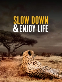 دانلود مستند Slow Down and Enjoy Life 2020 (سرعت خود را کم کنید و از زندگی لذت ببرید)