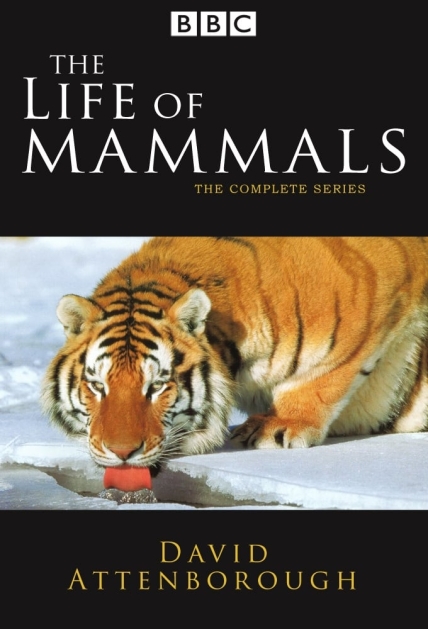 دانلود مستند The Life of Mammals 2002