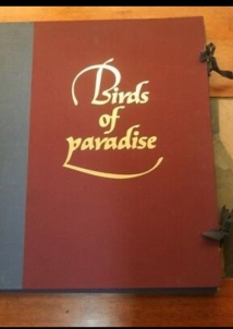 دانلود فیلم Bird of Paradise 1932