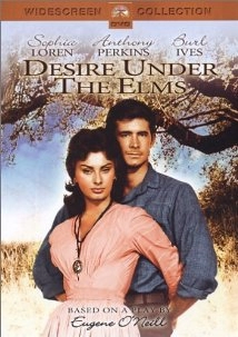 دانلود فیلم Desire Under the Elms 1958