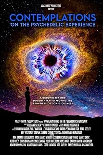 دانلود مستند Contemplations: On the Psychedelic Experience 2022