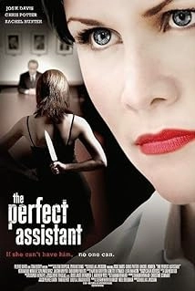 دانلود فیلم The Perfect Assistant 2008