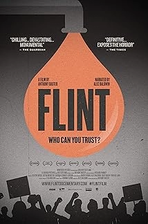 دانلود مستند Flint 2020