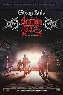 دانلود مستند Stray Kids: The dominATE Experience 2026