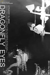 دانلود مستند Dragonfly Eyes 2017