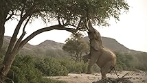 دانلود مستند Wild Namibia 2014