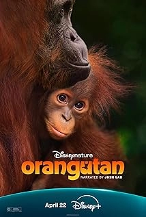 دانلود مستند Orangutan 2026
