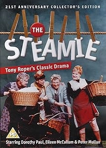دانلود فیلم The Steamie 1988
