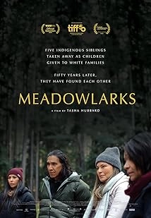دانلود فیلم Meadowlarks 2025