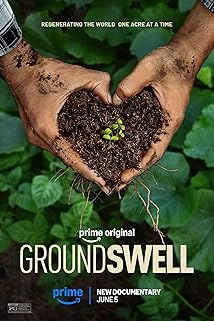 دانلود مستند Groundswell 2026