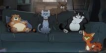 دانلود انیمیشن Alley Cats 2026