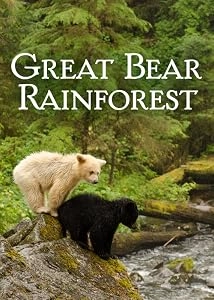 دانلود مستند Great Bear Rainforest 2019