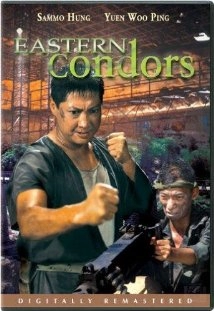 دانلود فیلم Eastern Condors 1987
