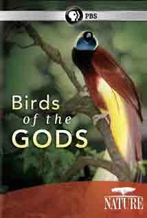 دانلود مستند Birds of the Gods 2011 با زیرنویس فارسی